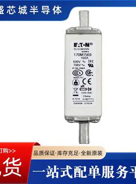 高压限流熔断器170M 2610 170M 2611 170M 2612 170M 2613现货