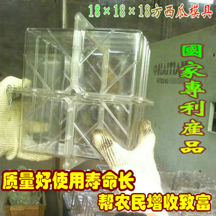 18x18方西瓜模具外贸12-15斤方形西瓜大方形范制葫芦定型塑料模具