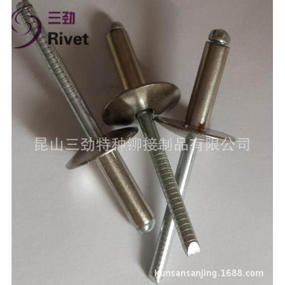 大帽沿铆钉 全不锈钢大帽抽芯铆钉开口型大帽沿拉铆钉铆钉铝大帽