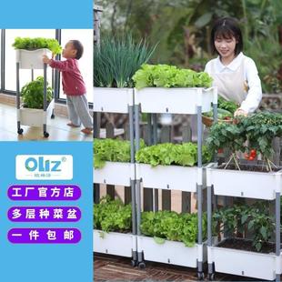欧林泽阳台家庭种菜盆塑料花盆多层种菜盆种植花架庭院幼儿园