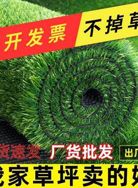 彷真草坪假草坪地毯户外铺垫彷生人造塑料室外幼儿园足球场