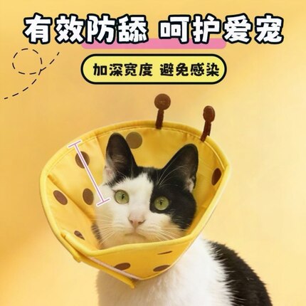 猫咪头套项圈伊丽莎白猫圈术后防舔宠物脖子圈防水耐脏透气轻夏天