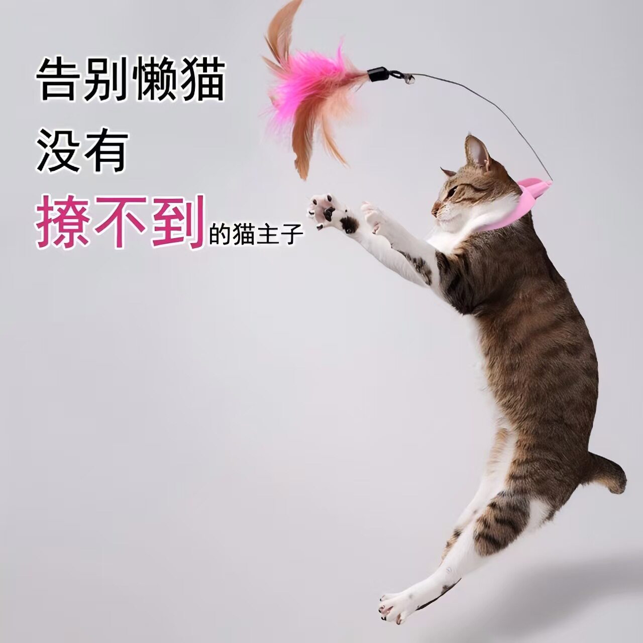 项圈逗猫棒头戴挂脖猫玩具自嗨解闷耐咬羽毛铃铛宠物用品自嗨解闷