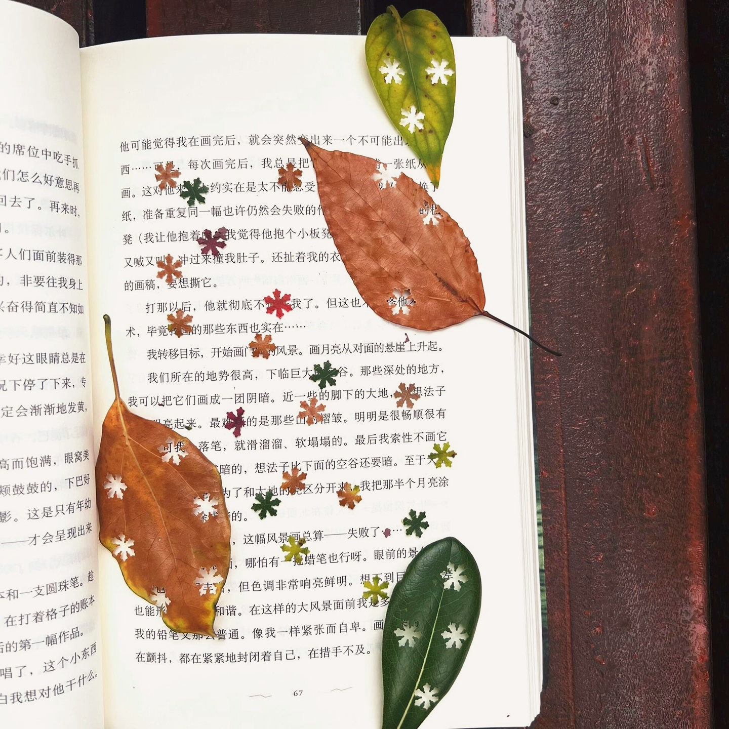 『低头捡个秋』树叶压花器五角星雪花模具儿童手工邮票图案打孔器