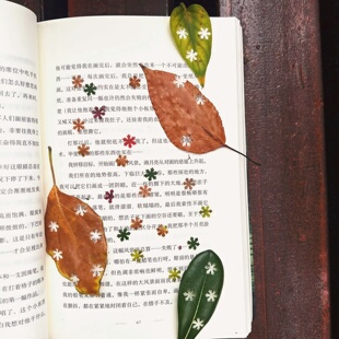 树叶压花器五角星雪花模具儿童手工邮票图案打孔器 低头捡个秋