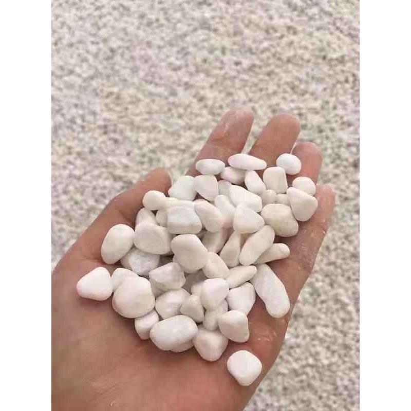 直销新款园艺石子水洗石白石头汉白玉彩石园艺盆栽石头铺面庭院造