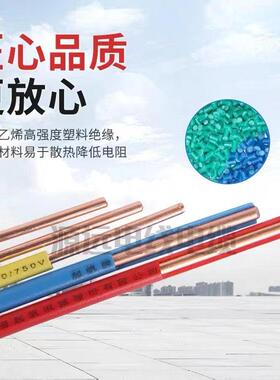 新款直销BV电线2.5 平方4/6/10/16/25/35/50绝缘铜芯电线导线