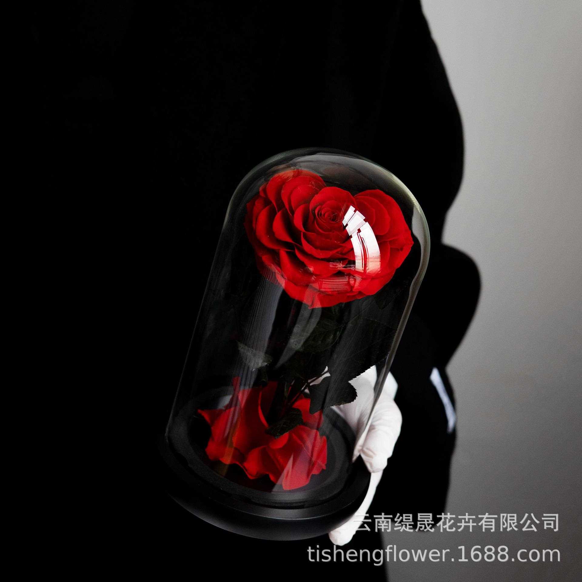 新款直销永生花小王子心形玫瑰花单支情人节礼物成品玻璃罩礼盒女