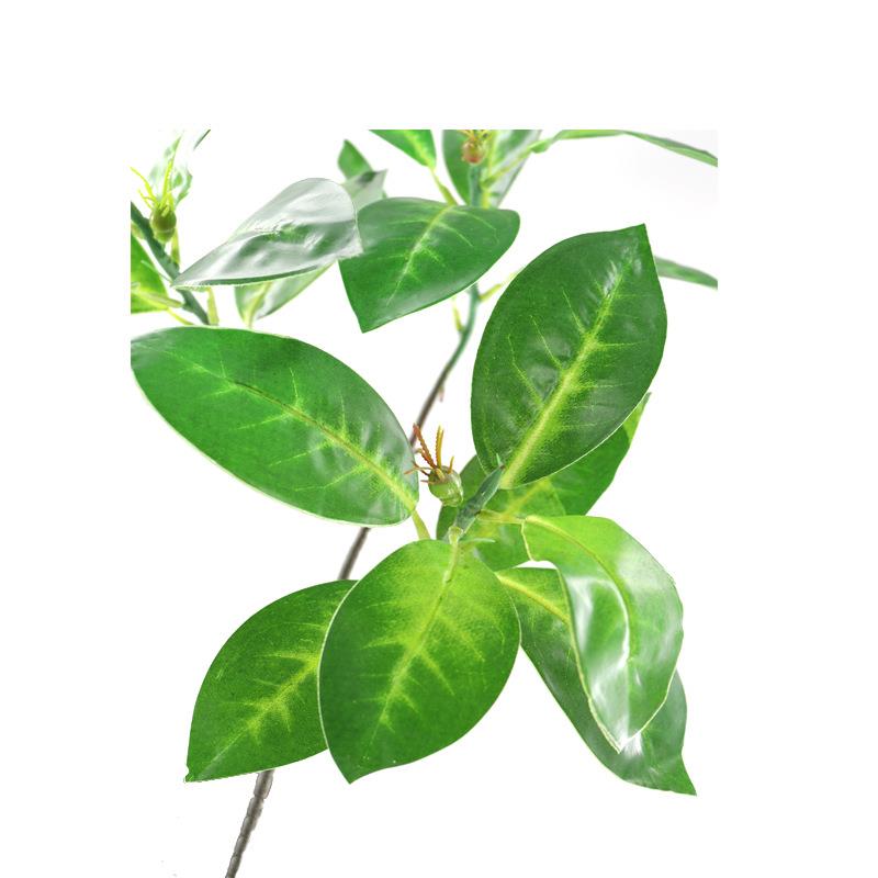仿真物植海莲叶GLR3叉过胶棕榈地毛科葵叶细葵叶羽葵落盆景厂家