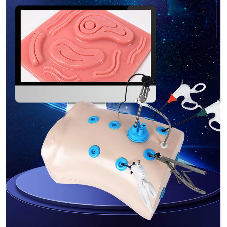 腹腔镜、胸腔镜模拟训练器教学模型