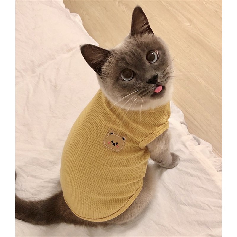 猫咪防掉毛衣服夏季薄款暹罗猫布偶猫蓝猫美短幼猫小型犬夏天背心