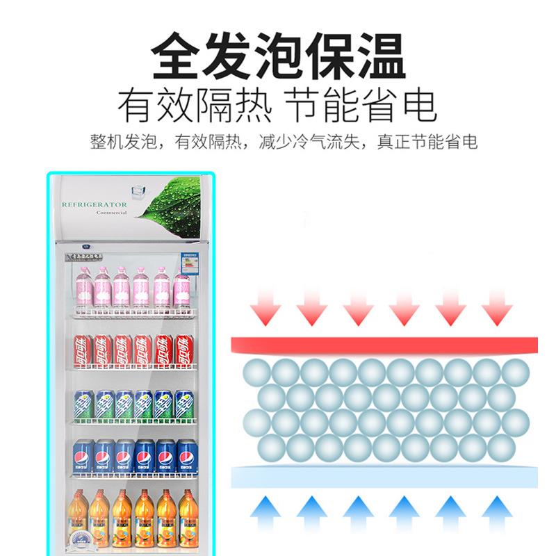 啤都PHT厂家酒展示柜商用立式节单门饮料京柜啤酒能柜冷藏柜