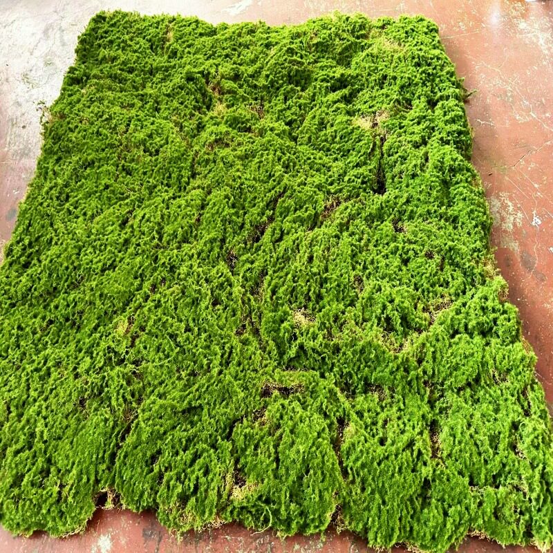 底是丝状仿真苔藓地毯草坪造景