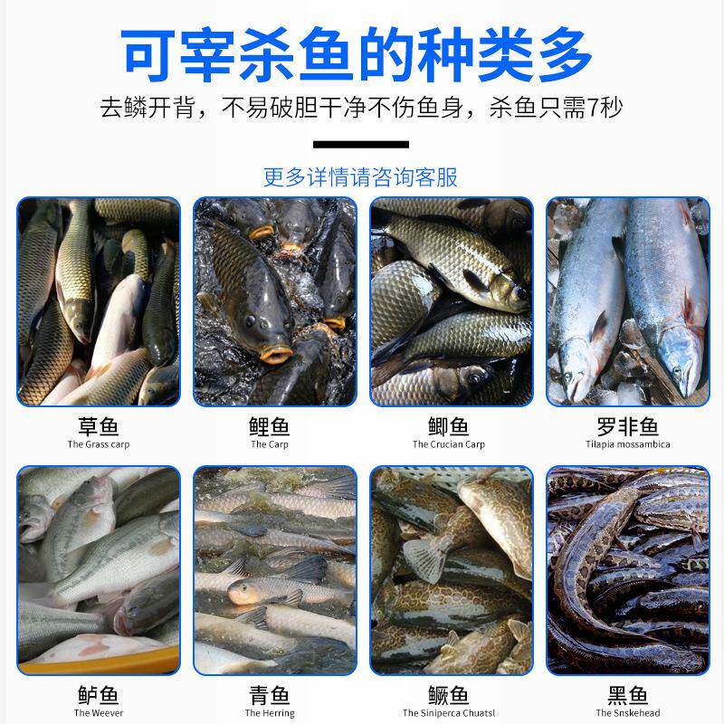 全自动立鱼式杀鱼机小型商用去鳞杀开鱼机草鱼鲈背鱼鲫鱼IEX黑开