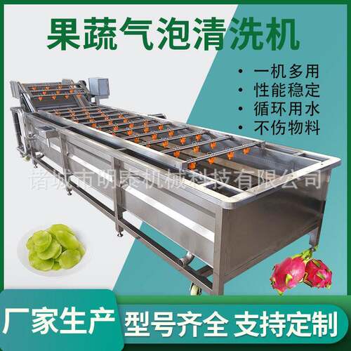 杨梅加冰果蔬气泡清洗机 芹菜土豆全自动洗菜机 海带清洗去杂机