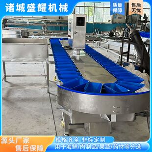 4级鸡爪重量分拣机 梭子蟹称重分选机 红薯玉米大小分拣机 盛耀