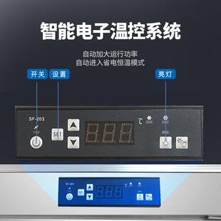 料展示柜冷LAS藏冷箱冻饮柜风冷高端款超市冰便利店冰水柜果