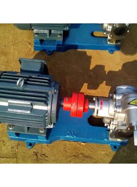 304不锈钢轮KCB27718齿.3/33.33/55/83./135/200/泵300/483.3整机