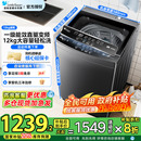 10kg公斤全自动官方1809T 小天鹅波轮洗衣机小乌梅12 政府补贴