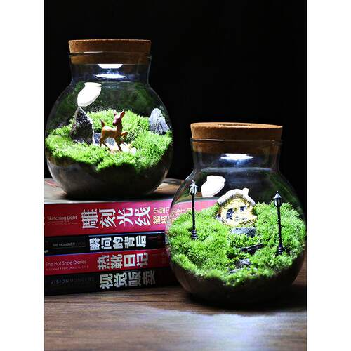 带灯玻璃瓶苔藓微景观套装diy 生态瓶闷养桌面迷你小盆栽创意造景