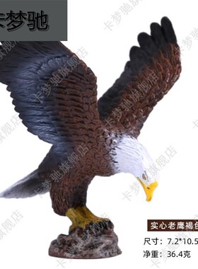 仿真老鹰模型软塑胶飞鸟猛禽大雕动物玩具儿童早教认知装饰道具