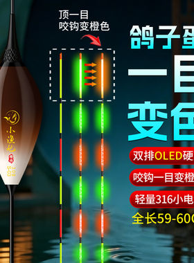 黄金眼鸽子蛋一目变色夜光漂咬钩变色枣核行程抗风浪走水日夜两用