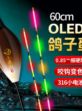 黄金眼鸽子蛋硬尾夜光漂316LED咬钩变色日夜两用黑坑抗流水枣核漂