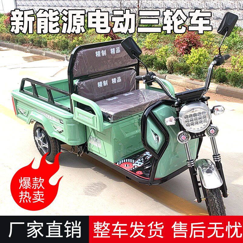 电动三轮车成人小型老人迷你接送孩子H货车拉货老年步车三轮新款