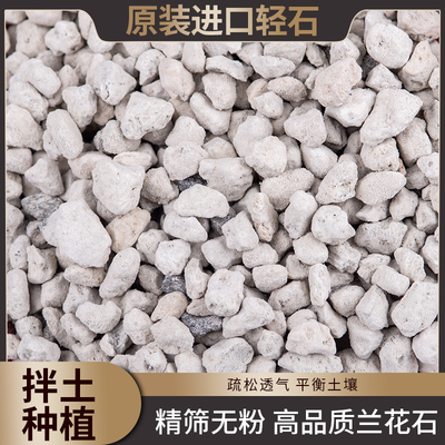 轻石颗粒造景浮石钵底石兰石兰花土多肉兰花铺面垫W底石水族滤材