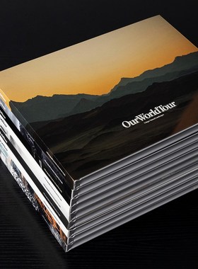 售楼处书架书房样板房可翻阅装饰真书大本中式侘寂风摆件摄影背景