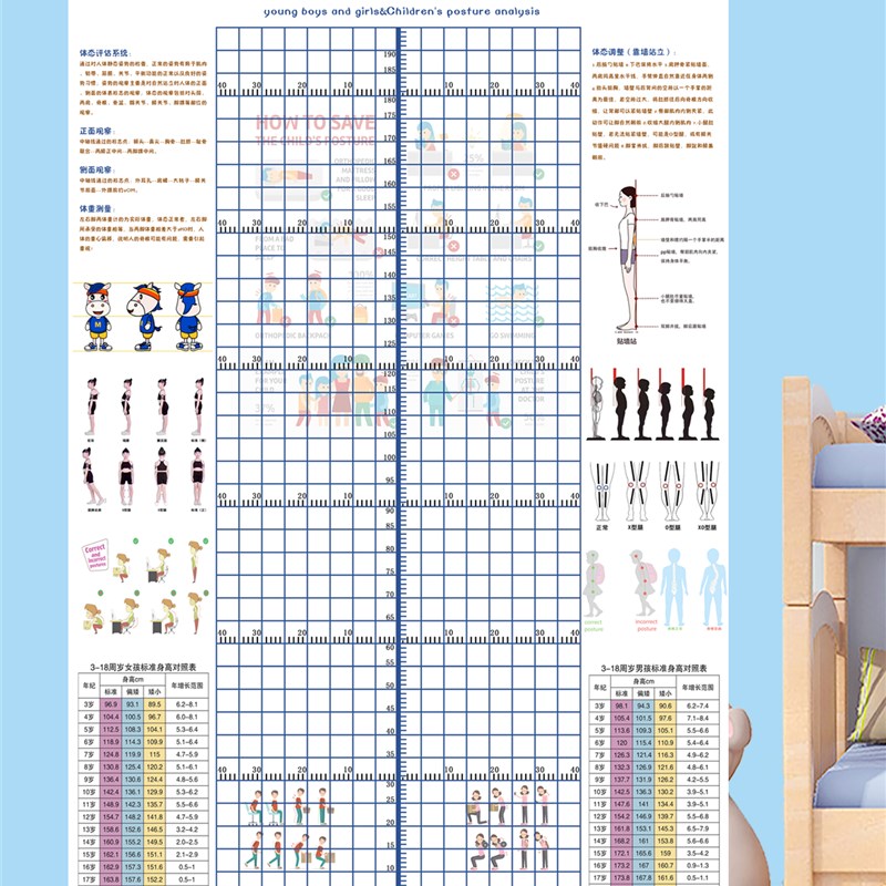 儿童体态评估表墙贴幼儿形体评估图青少年体适能身高体态体测表
