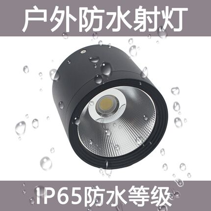 LED户外防水射灯店铺门头招牌室外防雨吸顶明装聚光筒灯220V110V