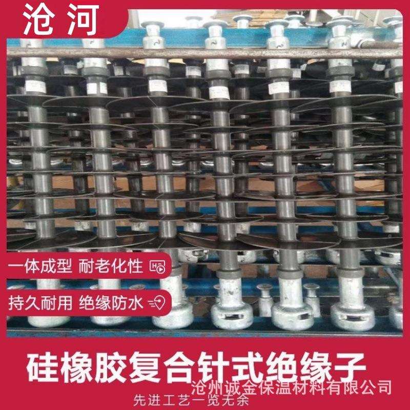 跨境F2XB4-220/100FXBW4-22/120棒形悬式高复合硅橡胶绝缘子W20k