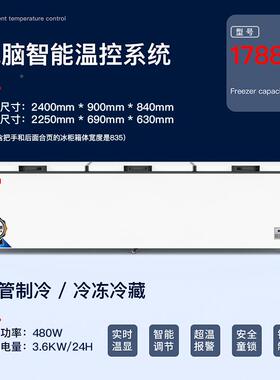 1788商用冷冷柜节能保鲜温冻柜大NYT容量门三家用冰箱速单冻