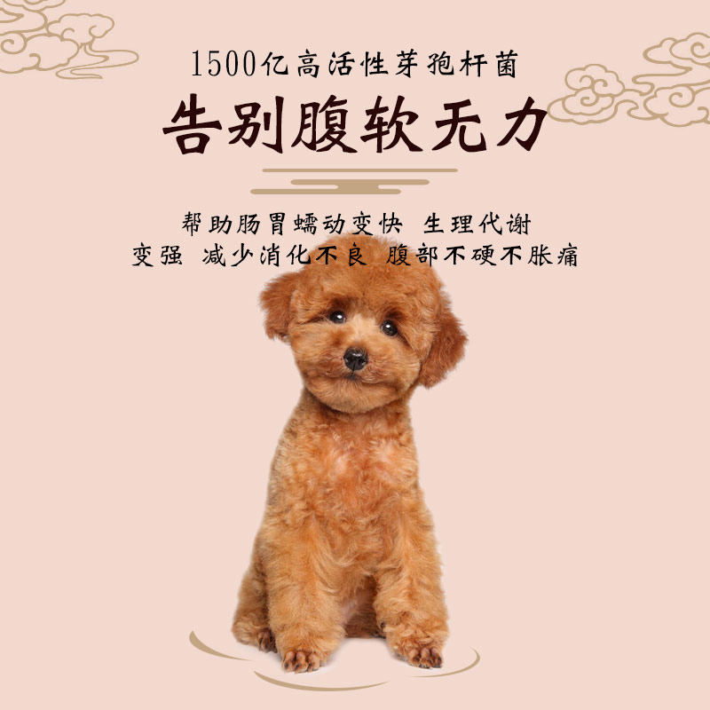 阿拉斯加益生菌狗狗幼犬呵护肠胃助力消化肠胃宝宠物犬营养品