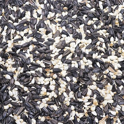 油葵子红花籽白瓜子2合1混合葵花子油葵籽鸟食鸽粮仓鼠零食五斤