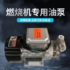 高压燃烧机力德油泵耐高温腐蚀锅炉甲醇醇基燃料乐合油泵多规格
