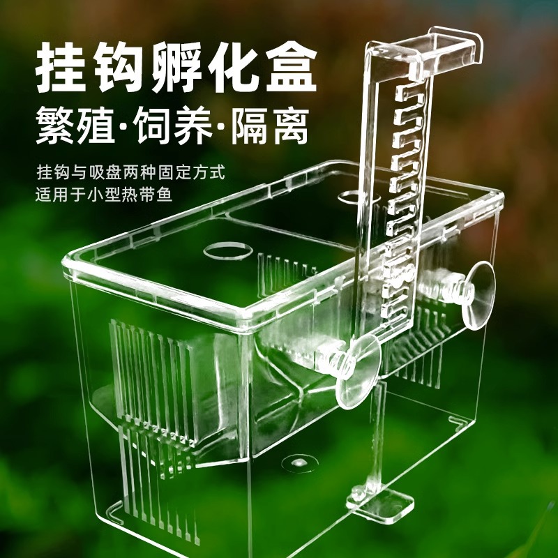 鱼缸隔离盒孔雀鱼热带鱼小鱼繁殖盒缸内非亚克力孵化盒产子分离