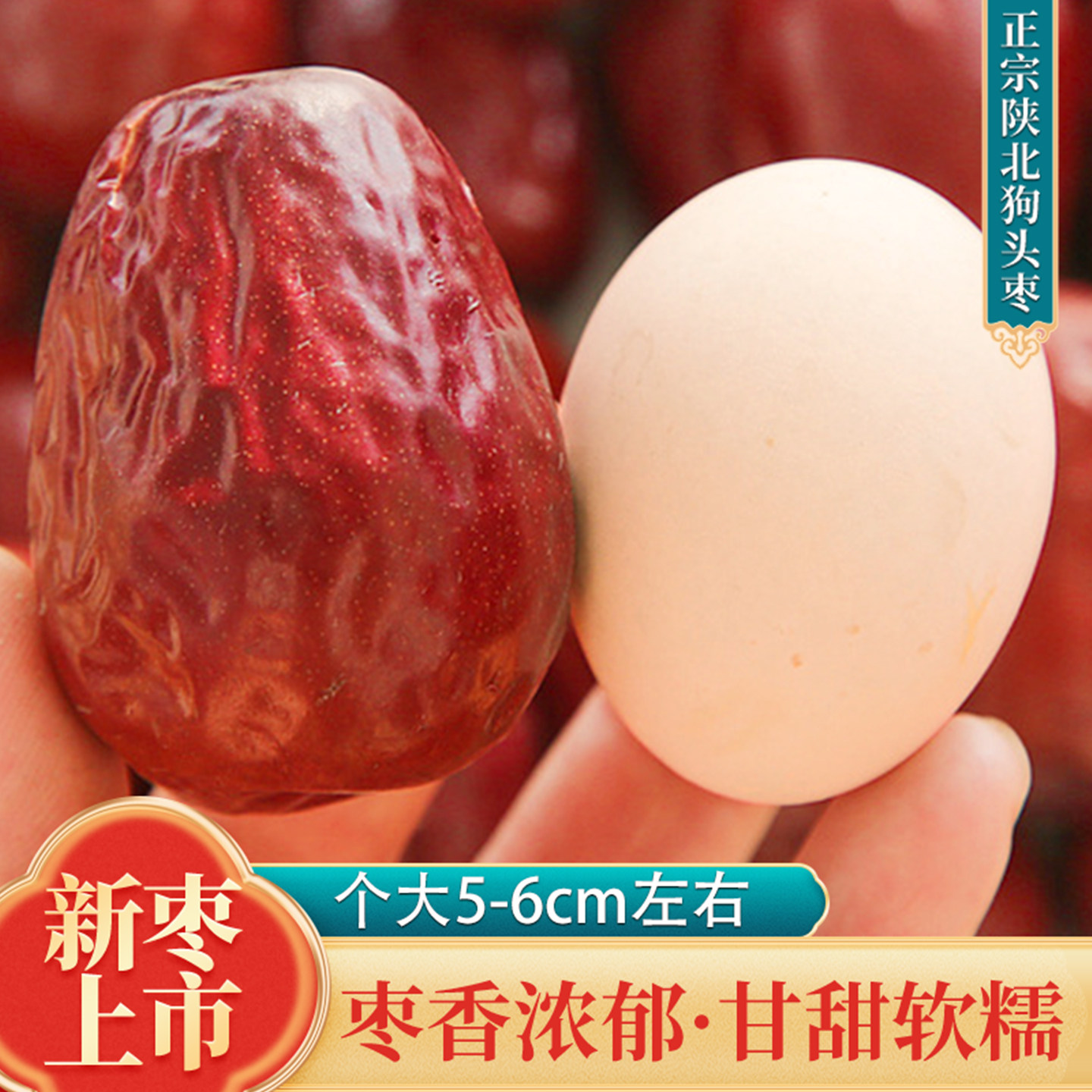 陕西老河湾狗头枣特大枣