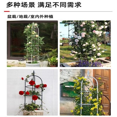 月季花架专用庭院花盆园艺爬藤支架阳台植物铁线莲藤攀爬支撑杆