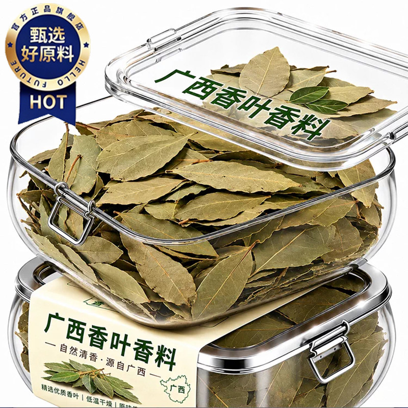 香叶正宗广西香料月桂大叶片当季新货足干足秤气味芳香调味料香料