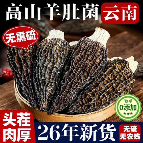 云南正宗野生羊肚菌干货正品官方旗舰店500g一级新鲜煲汤菌菇食材
