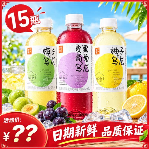果子熟了果汁茶饮料500ml*15