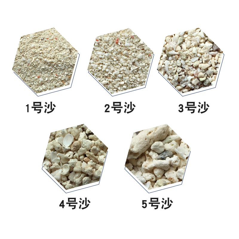 蓝色珍品海缸珊瑚沙海沙12 3 4 5号菲律宾沙子天然珊瑚砂 珊瑚骨