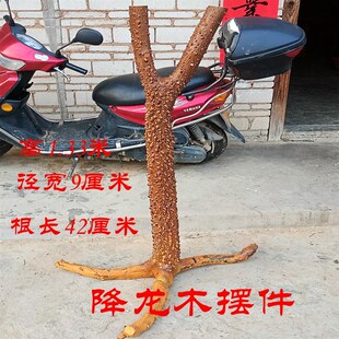 广东降龙木原木带根木居家客厅玄关办公室装 落地摆件 饰镇宅中式