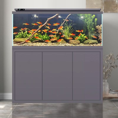 无管件雷龙缸底滤溪流缸鱼缸客厅家用中小型超白玻璃缸内无管道