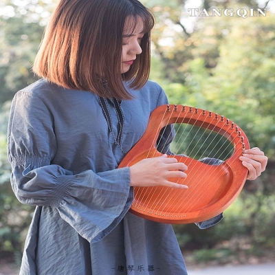 小竖琴19弦小众乐器便携式小型箜篌琴初学者古典里拉琴小众乐器