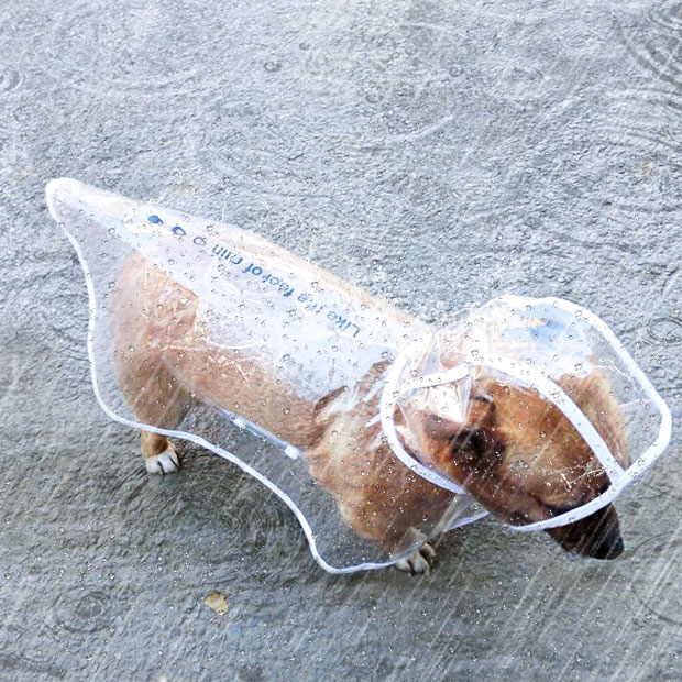 小狗狗雨衣泰迪柯基比熊法斗小型犬宠物专用雨披四脚防水全包衣服