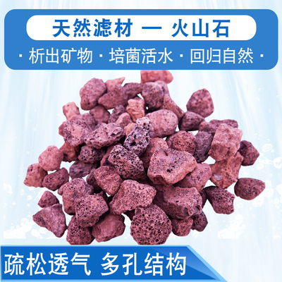 优质天然火山石观赏鱼鱼缸水族箱鱼池净水滤材材料过滤净化水质