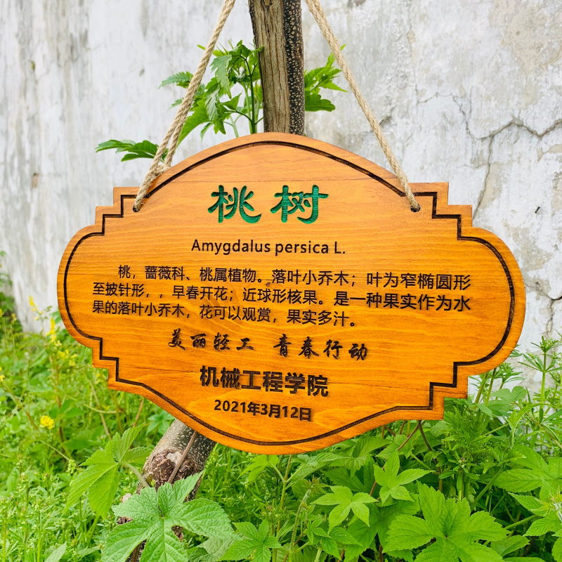 定制花草地牌树牌户外插地牌悬挂式标牌防腐实木质牌简介植物挂牌